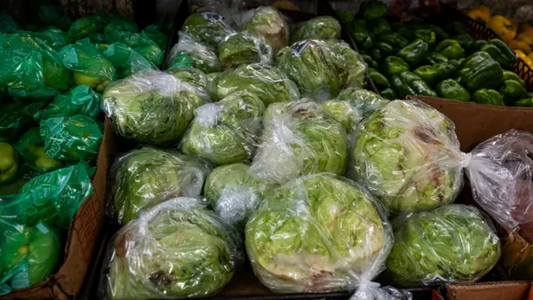 Heads of iceberg lettuce in a grocery store.