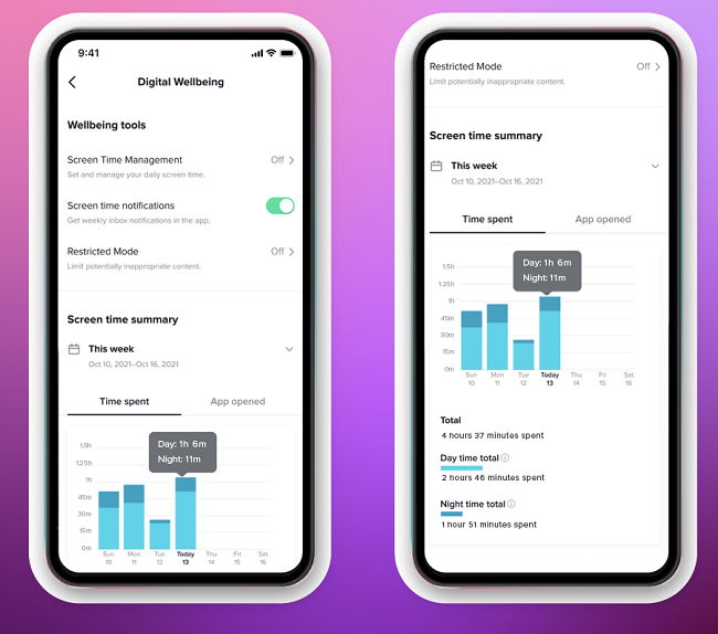 TikTok screen time summary