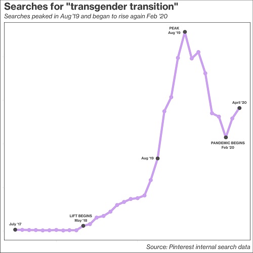 Pinterest transgender searches