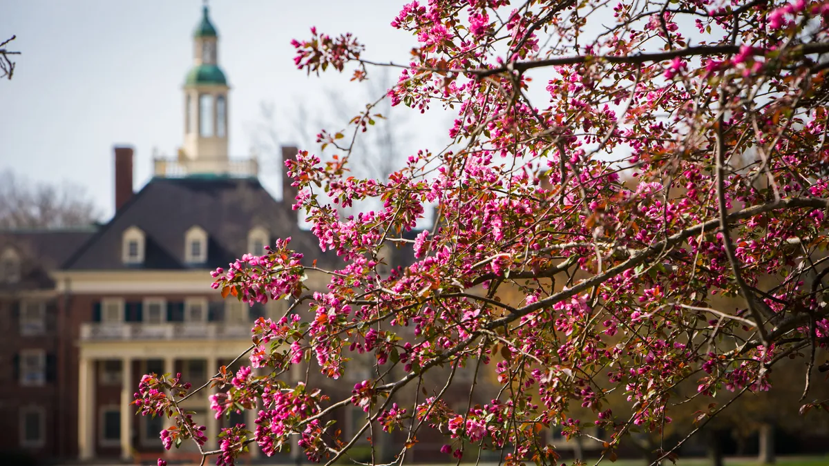 The Miami University of Ohio campus during the spring