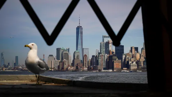 Close up view of a seagull standing on a ferry, New York City skyline in the background