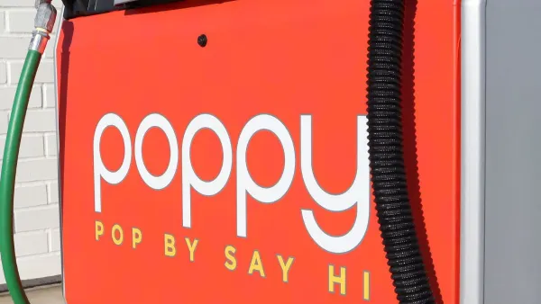 Poppy Market