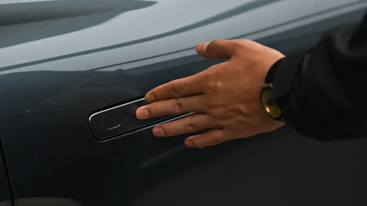 Tesla retractable door handle.