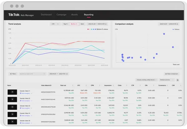 TikTok Video Insights