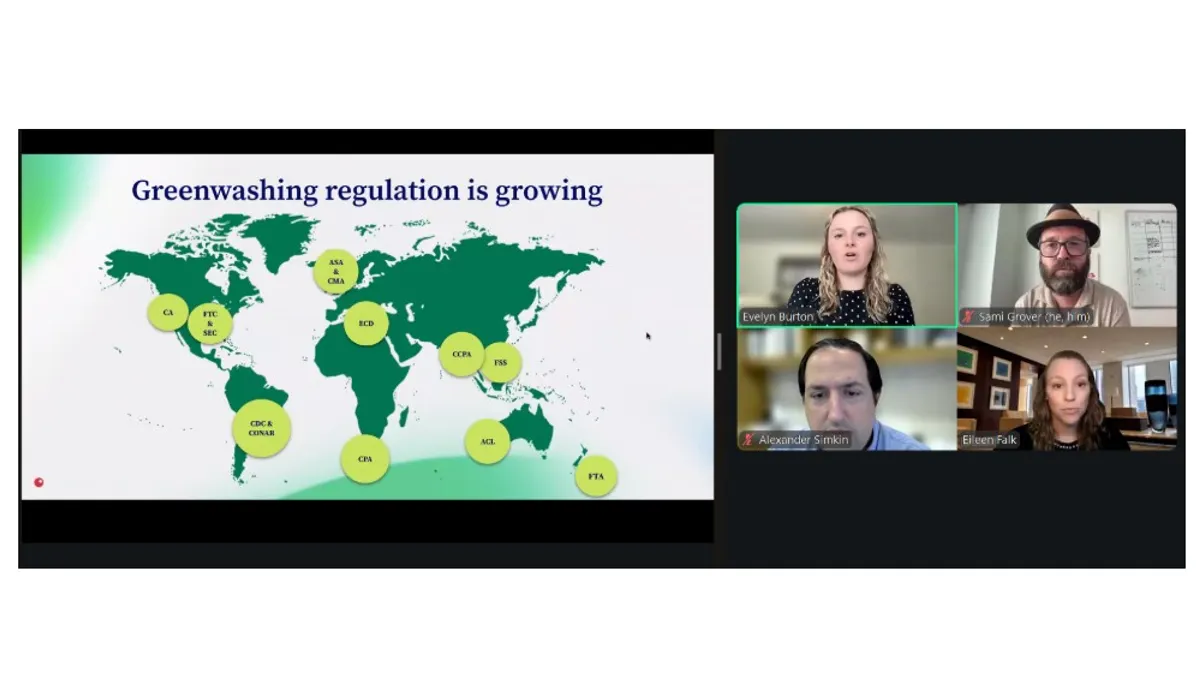 Screenshot from thinkParallax and Ropes & Gray webinar about greenwashing on Aug. 27, 2025.