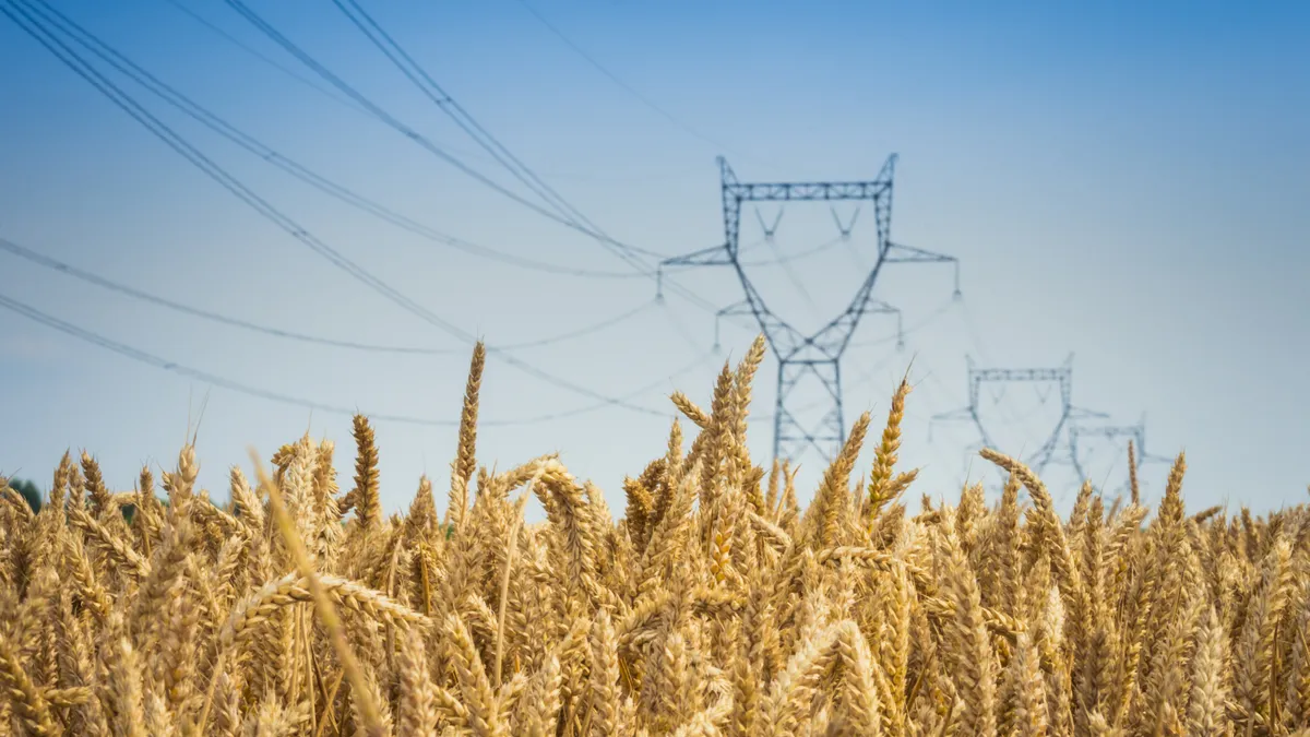 A high-voltage transmission line in a field of grain.