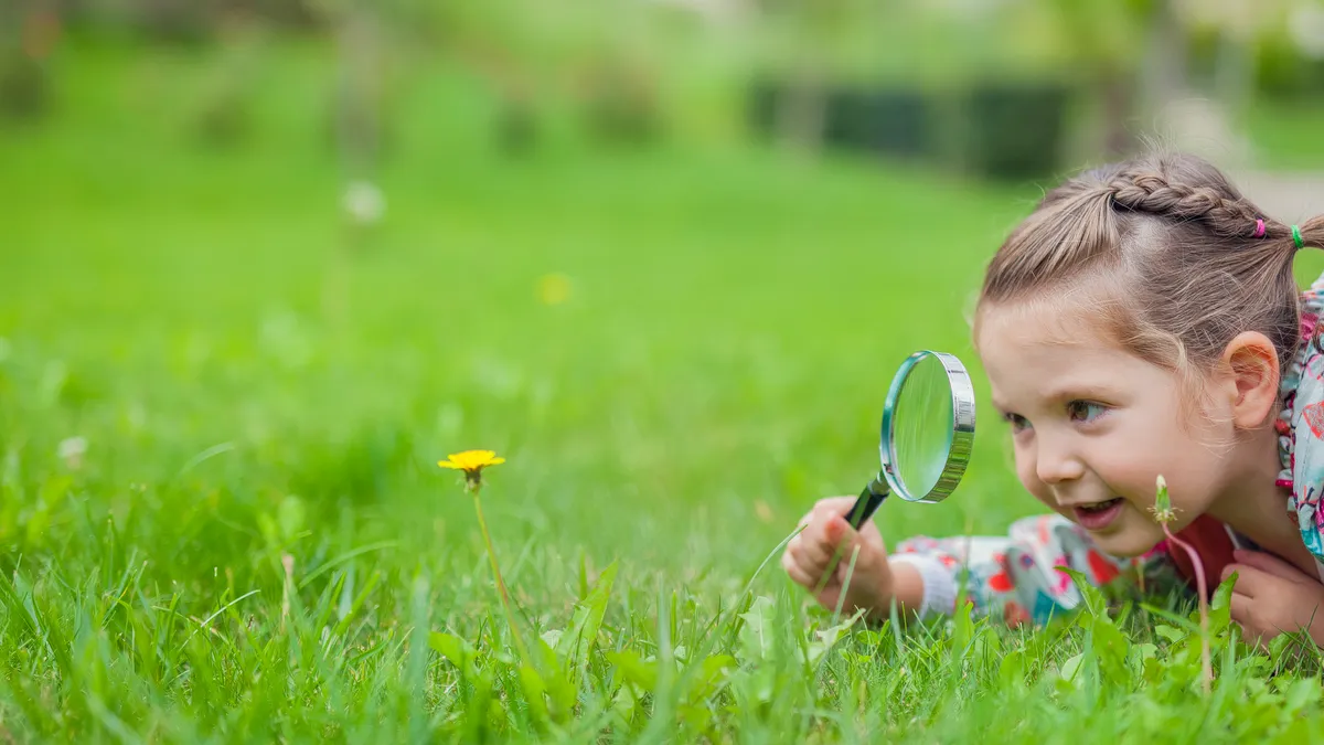 A small child is laying on their stomach on green grass outside. They are looking at a yellow dandelion through a magnifying glass.