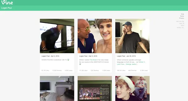 Vine