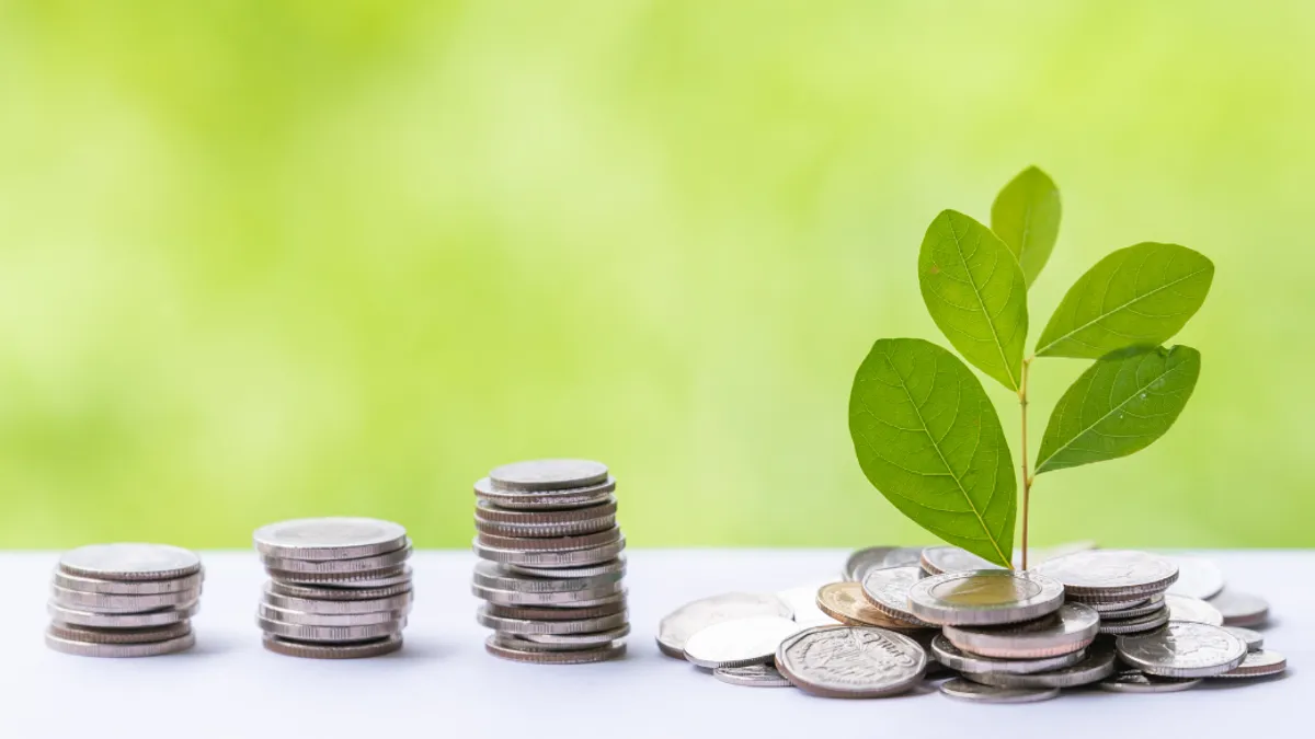 Three rows of coins stacked neatly next to a pile of coins growing a seedling.