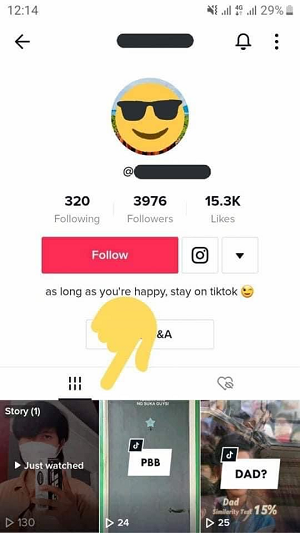 TikTok Stories