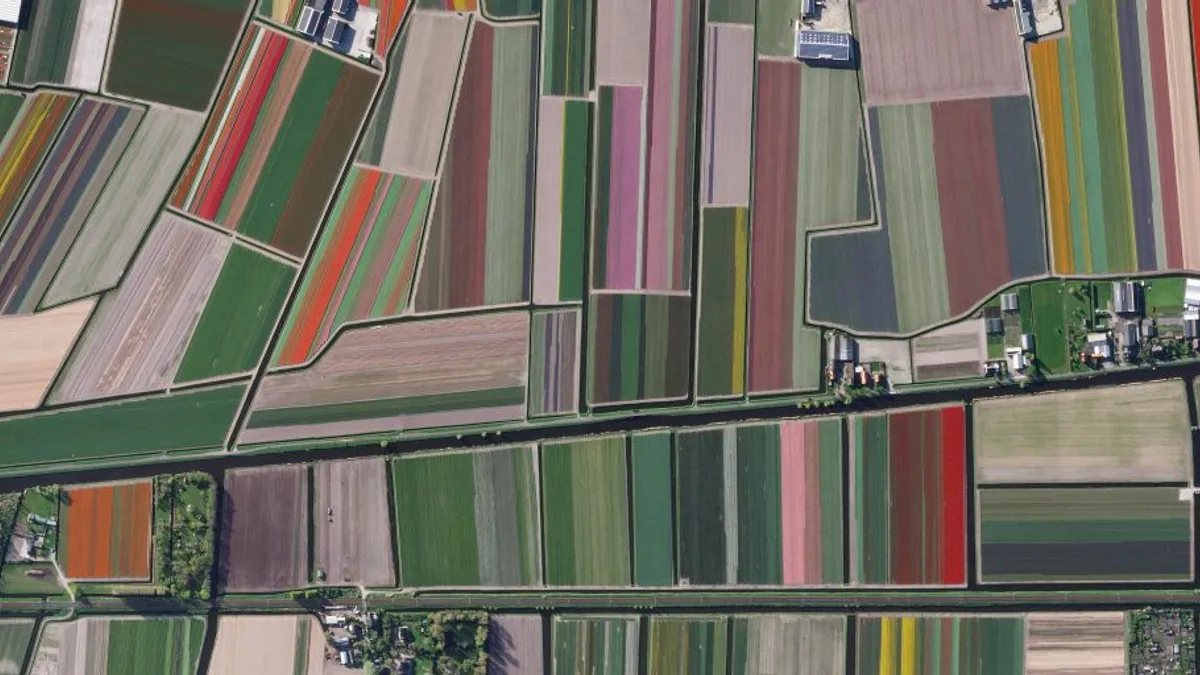 Satellite imagery of Tulip fields in the Netherlands.