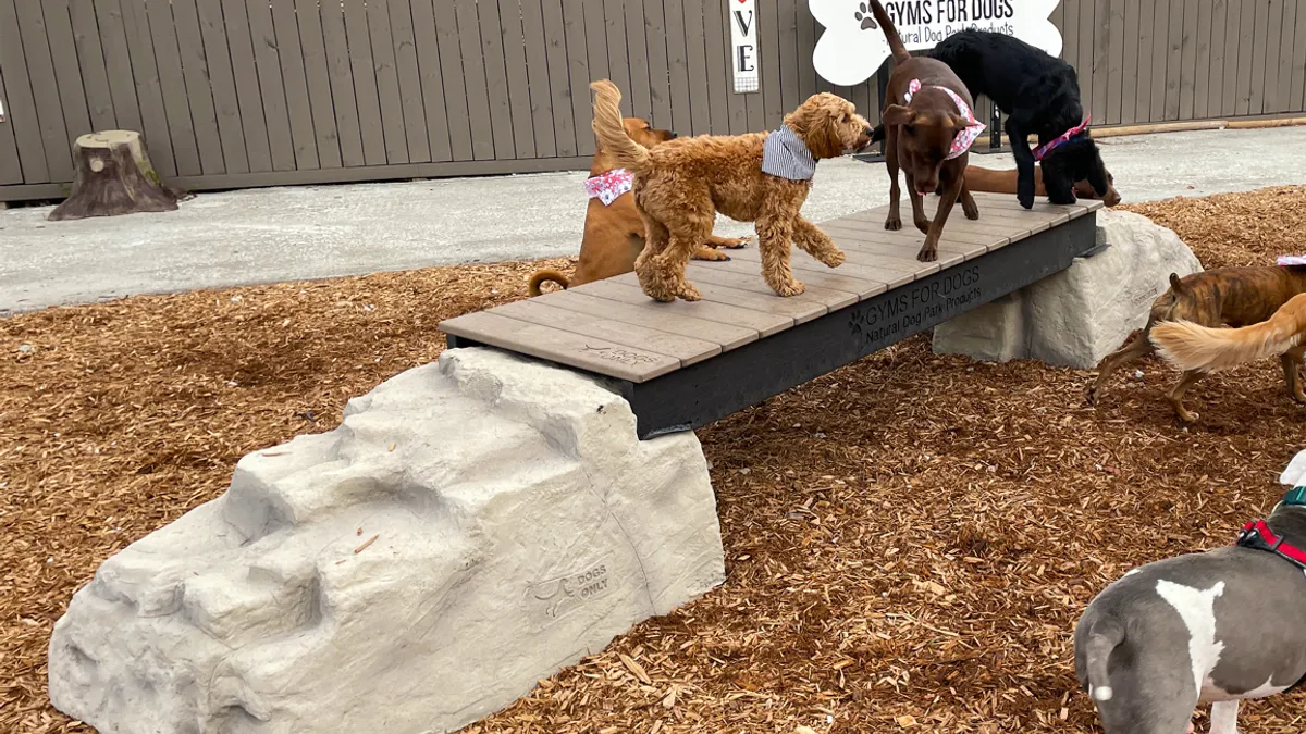 Several dogs stand on a bridge between two boulders.