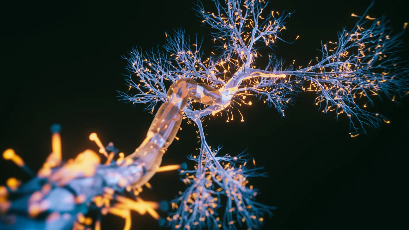 A 3D illustration of a nerve cell on a black background