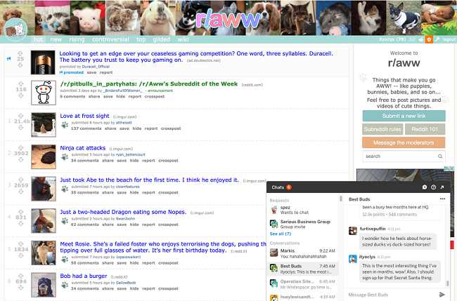 Reddit chat screenshot