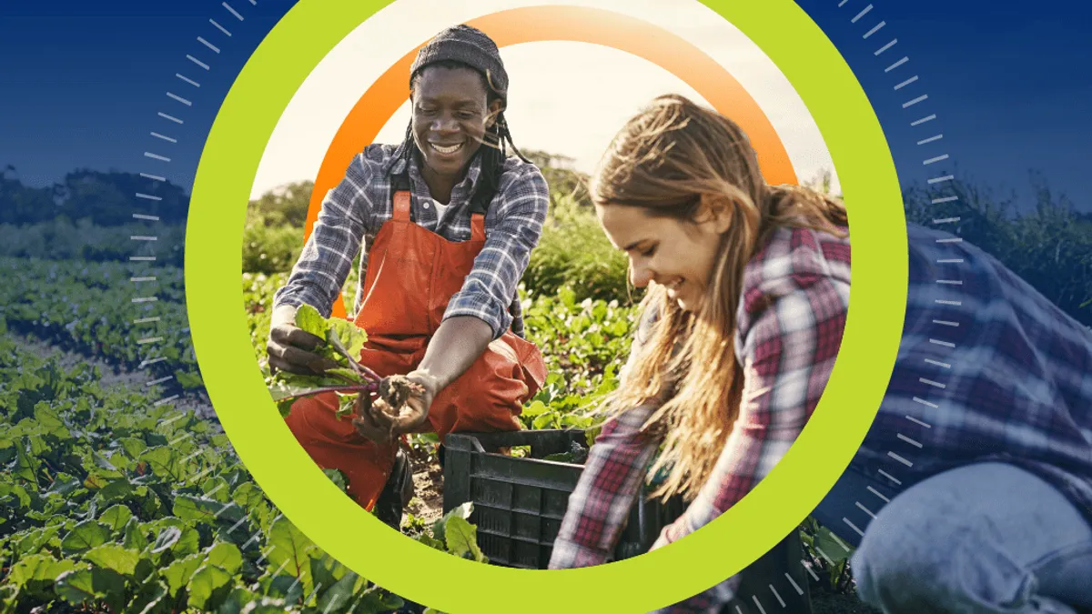 Shot of a young man and woman picking organically grown vegetables on a farm.