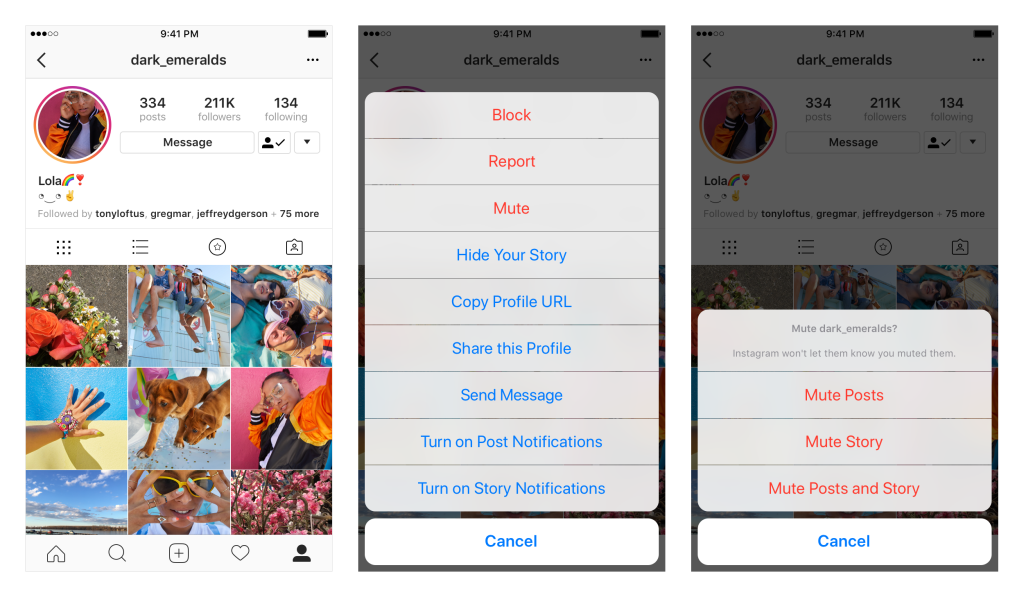 Instagram Rolls Out Option to Mute Profiles | Social Media Today