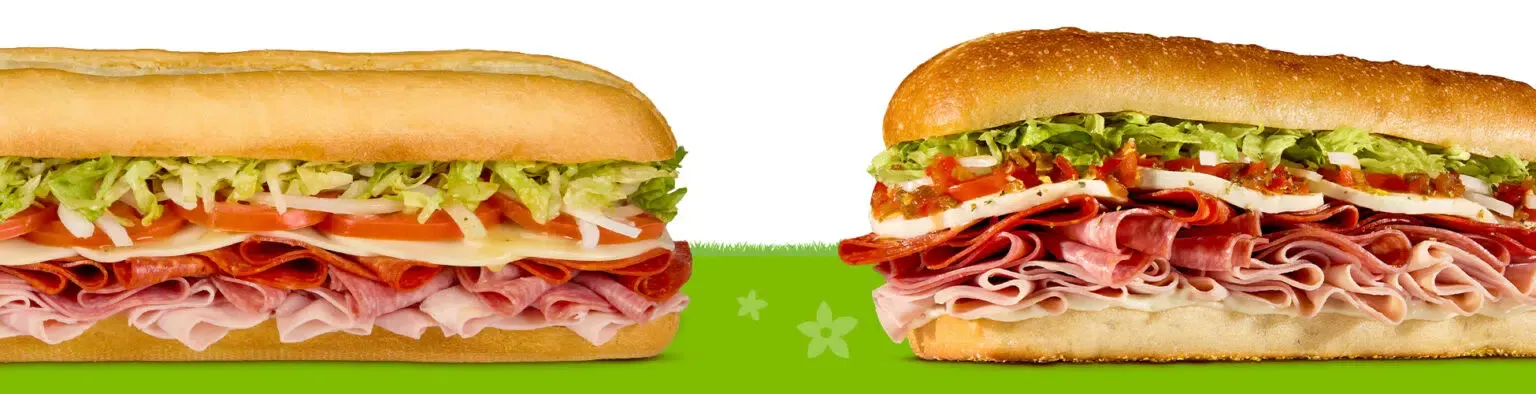 A photo of two sub sandwiches against a white background