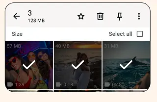 WhatsApp file manager