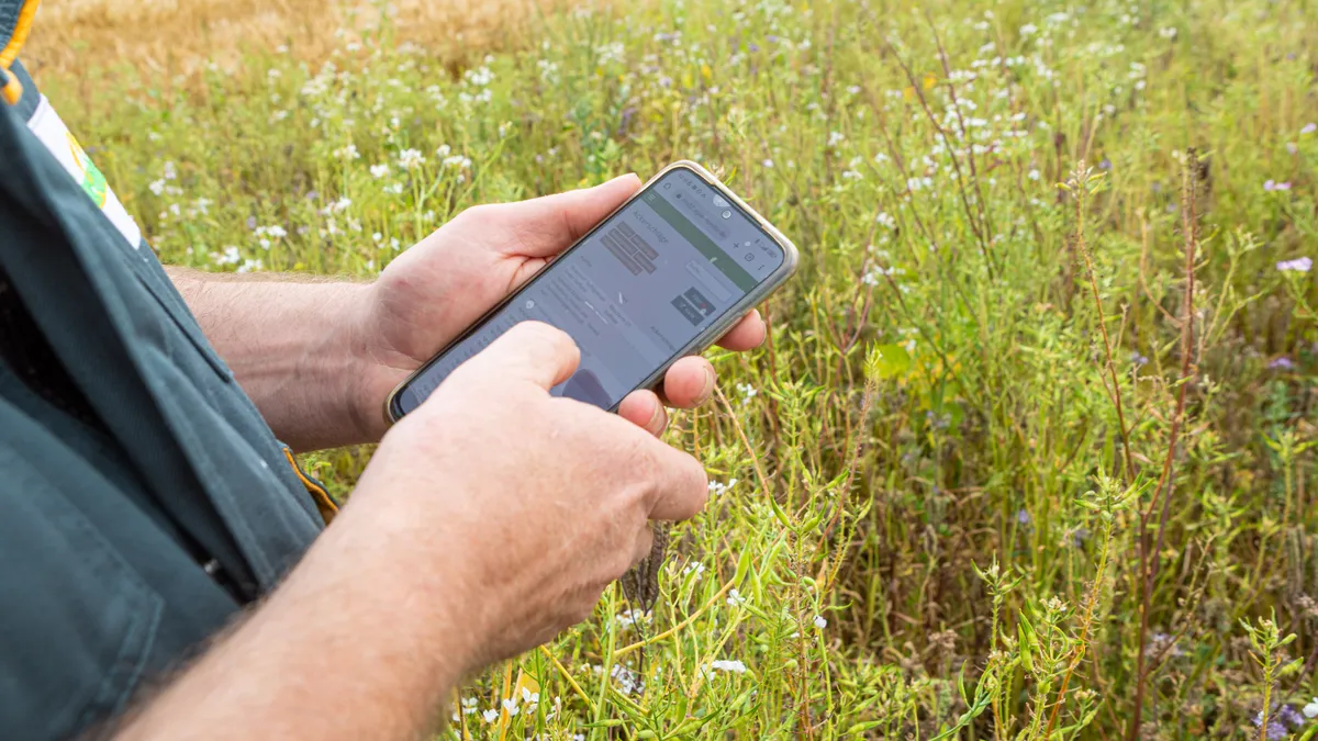 A close up of a man standing in a field looking at his phone