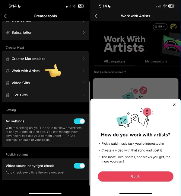 TikTok Work with Artists