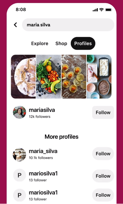 Pinterest profile search