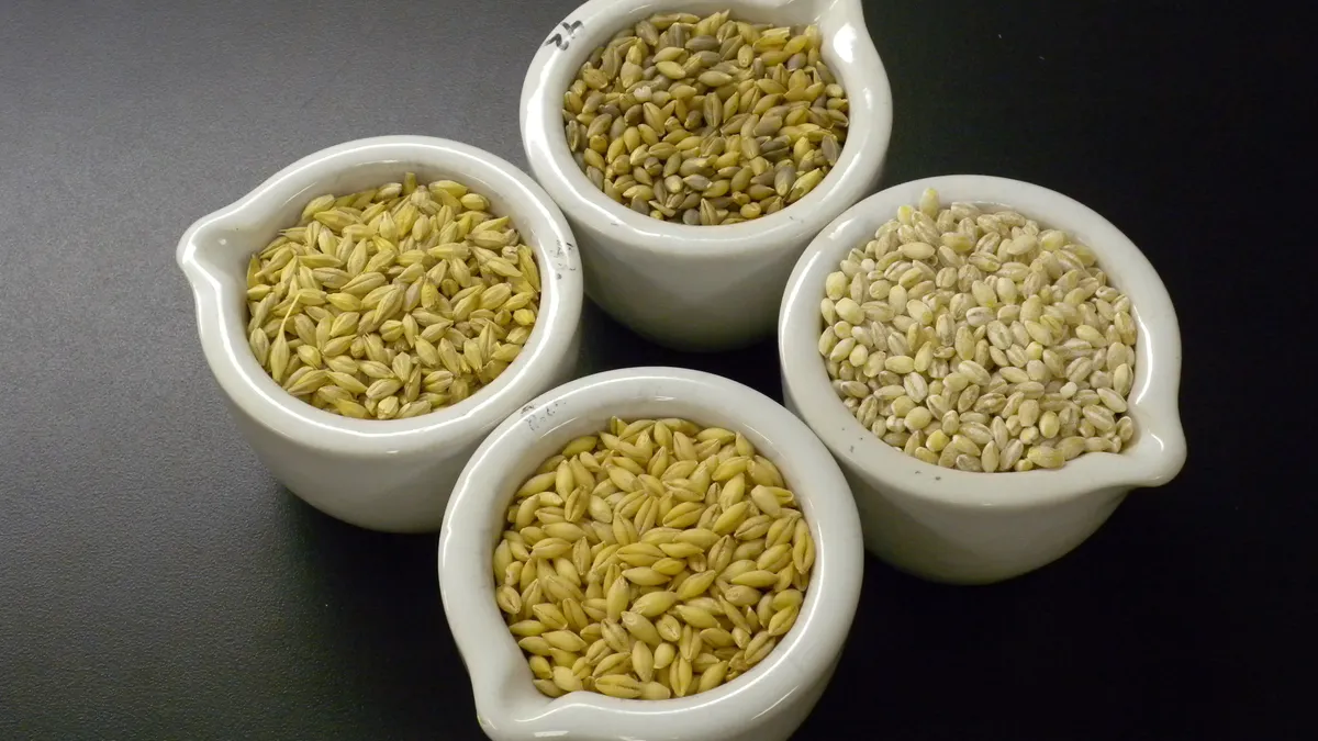 naked barley