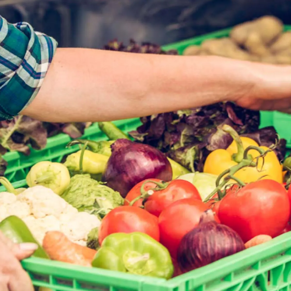 Food waste solutions must not shy away from processing, IFT says | Food Dive