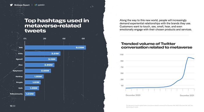 Twitter Birdseye Report