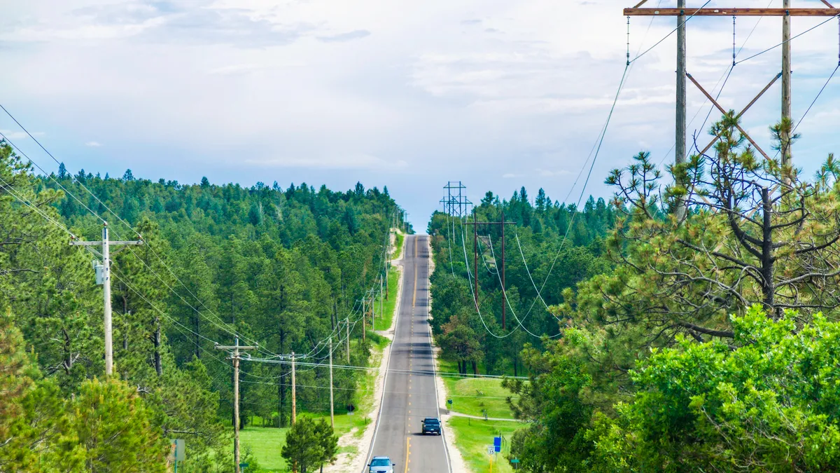 Power lines next to a tree-lined road.