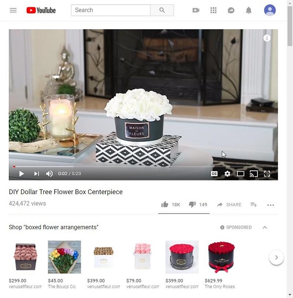 YouTube TrueView ad example