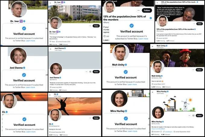 Twitter Blue bots