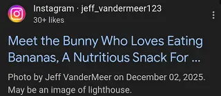 Instagram AI SEO summary