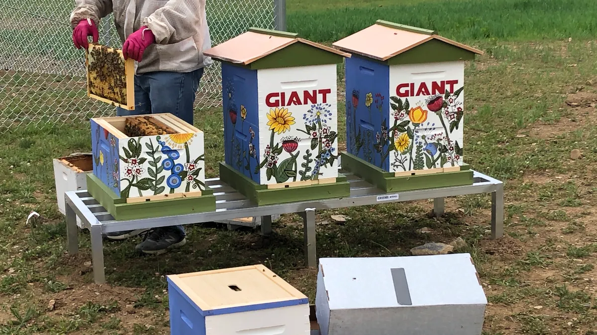 The Giant Company pollinator