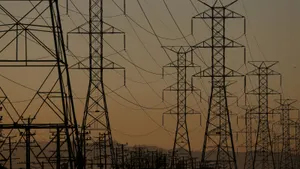 Electrical transmission towers and their power lines loom over trees at dusk