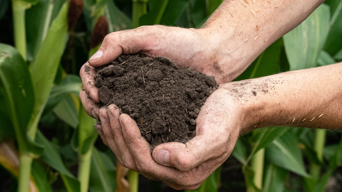 hands are seen cupping soil