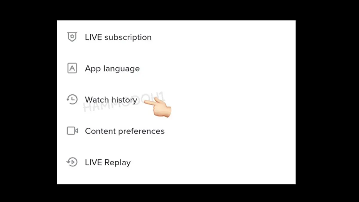 TikTok Watch History