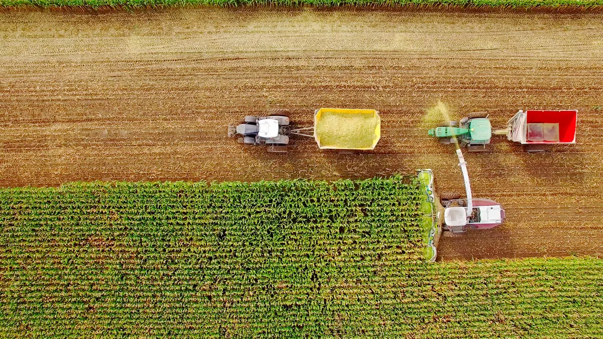 Farm machines harvesting corn in September, viewed from above