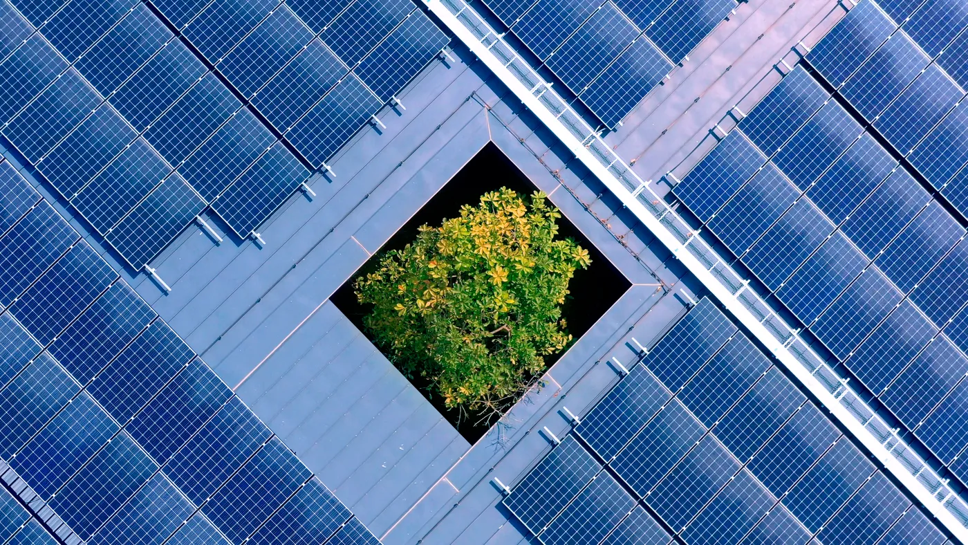 Solar panels are laid out on the roof of a factory.