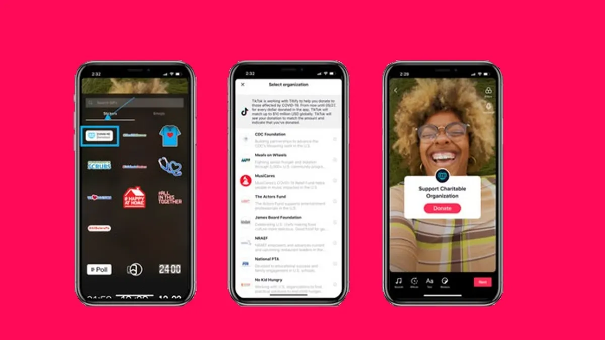 TikTok Donation Stickers