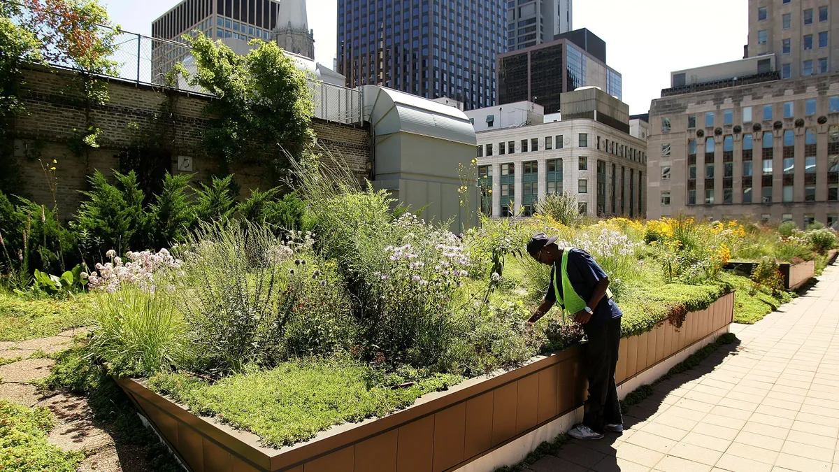 A person leans over to look at a garden on a rooftop surrounded by city buildings