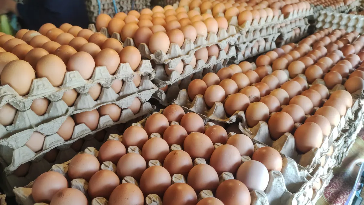 Domestic chicken eggs on carton shelf for sale in market, concept photo of high rising price of chicken eggs