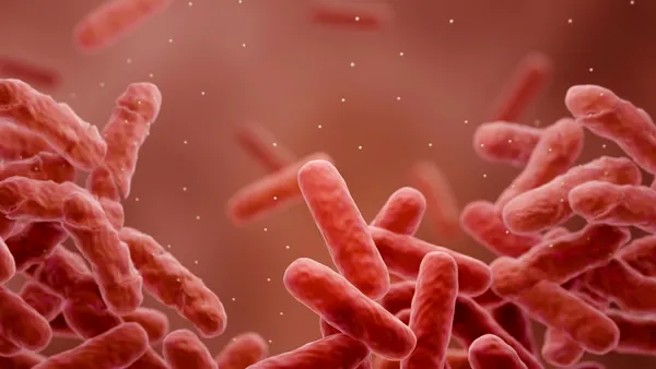 groups of reddish orange oval-shaped bacteria