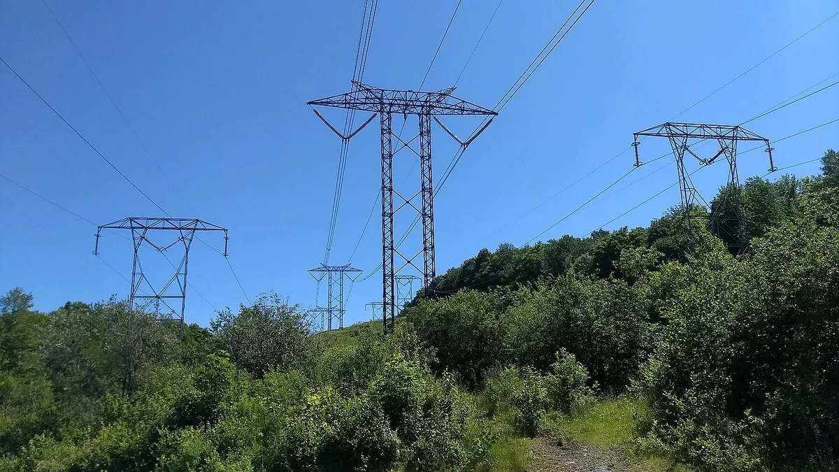 Electric transmission lines crossing a shrubby area.