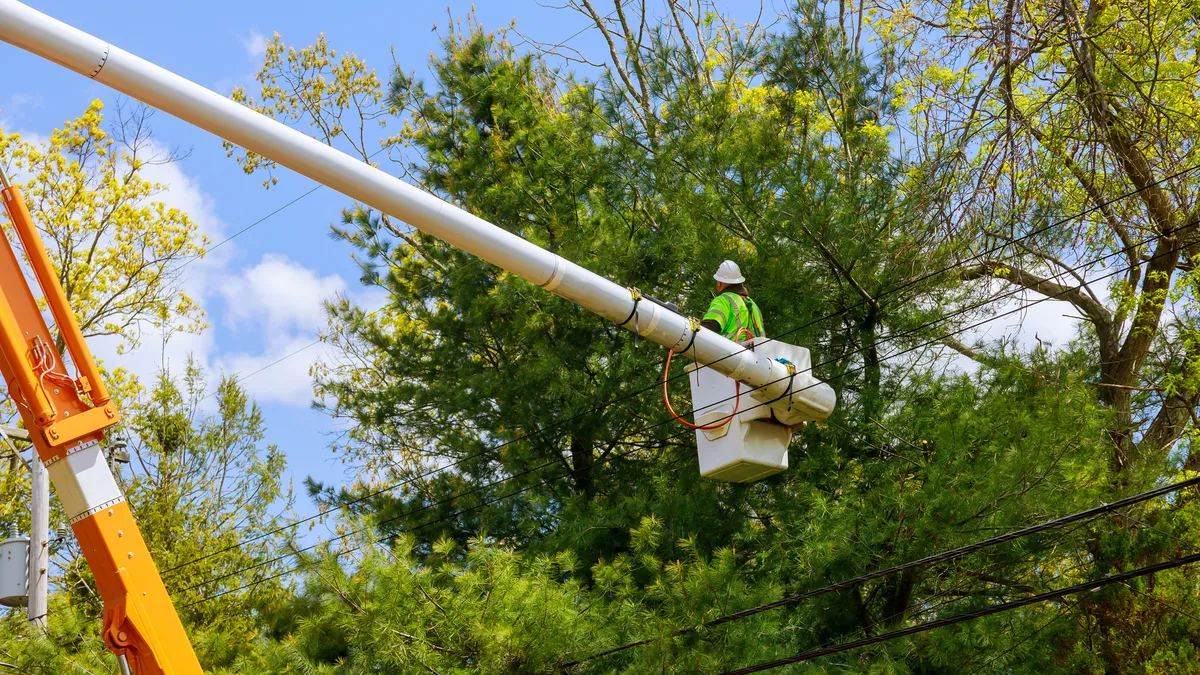 Seasonal pruning trees at the springtime with tree care with hydraulic ramp.