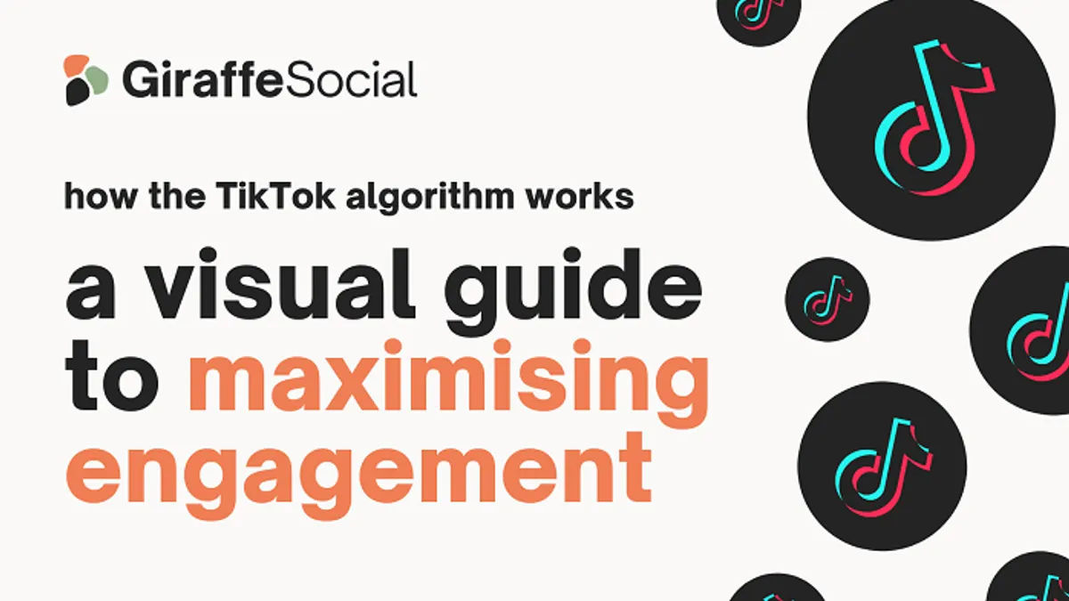 TikTok algorithm infographic