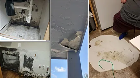 Several photographs of damage in housing, including mold on a wall, peeling paint on a ceiling and a section of missing floor.