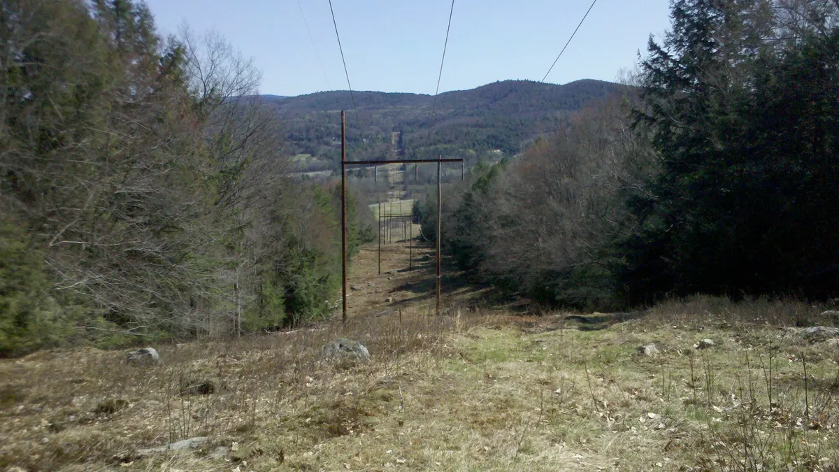 Power lines run into the distance in woods.