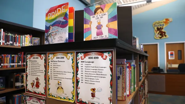 A display of LGBTQ+ books on a library shelf