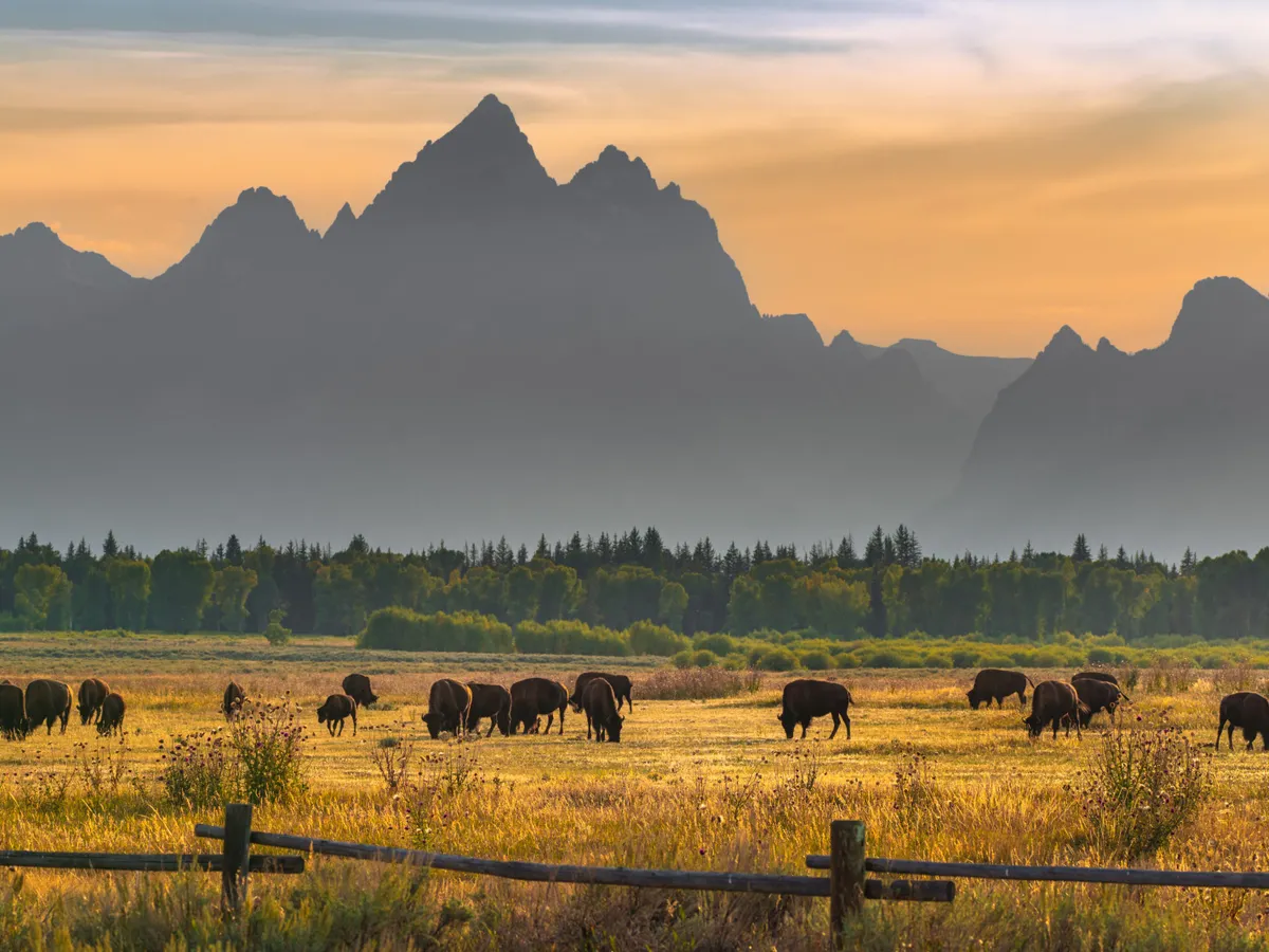 Wyoming has big plans for stablecoin | Payments Dive