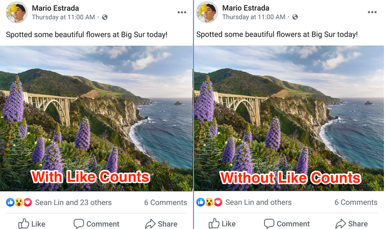 Facebook hidden like counts
